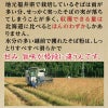 越前産そば6食