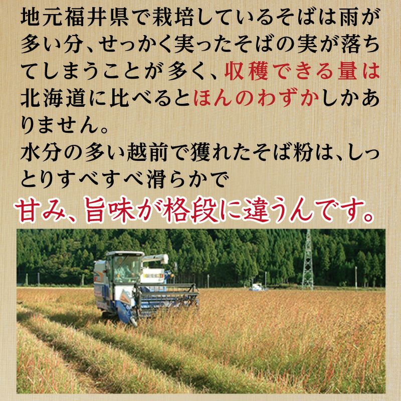 越前産そば6食