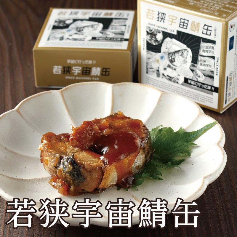 サバ缶、宇宙へ行く ドラマ　月９ 北村匠海